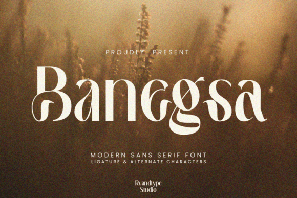 Banegsa: A Font That Fits the Brand