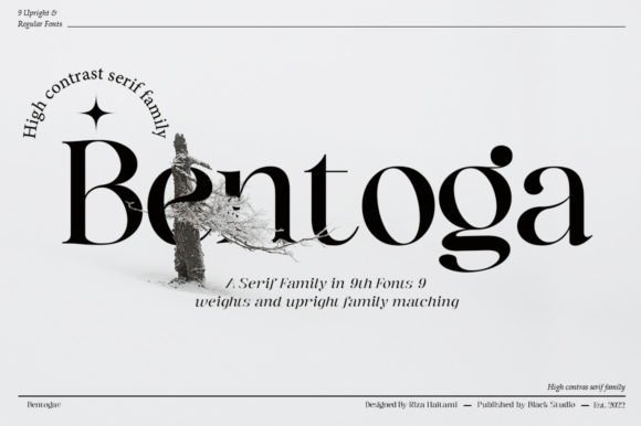 Bentoga: A Serif Font for Editorial Design Excellence