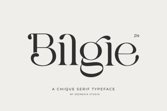 Bilgie: A Serif Font That Elevates Branding with Elegance