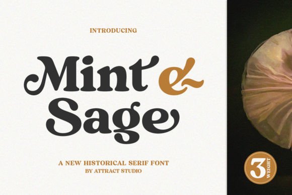 Mint and Sage: A Serif Font for Bold Branding