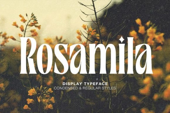 Rosamila: A Serif Font That Speaks in Style